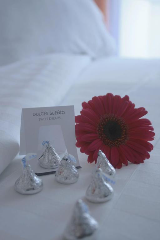 Hotel Lugano Suites Богота Экстерьер фото